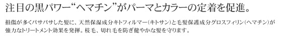 日本美容科学は美しい髪のコンディションをサポートケア